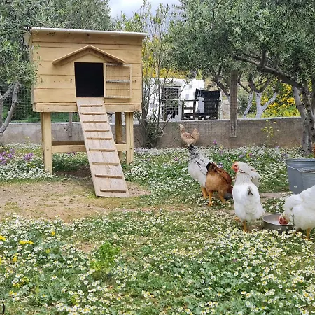 Romantic Sunset Cycladic House In Sotires Dom wakacyjny