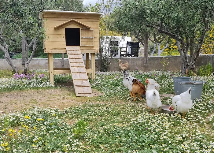 Romantic Sunset Cycladic House In Sotires 펜션