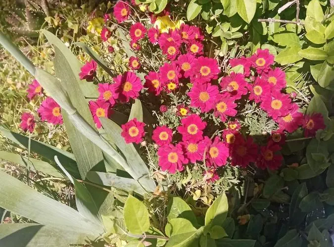 Romantic Sunset Cycladic House In Sotires 펜션 *